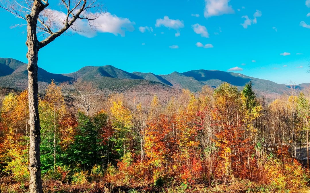 Kancamagus Highway Fall Foliage
